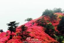 麻城456.jpg