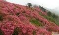 麻城789.jpg