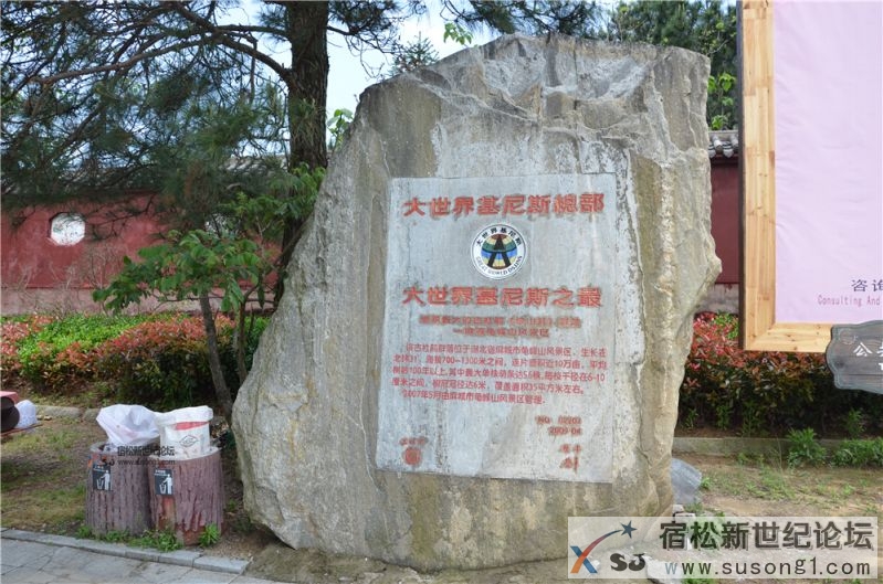 宿松新世纪论坛湖北麻城之旅剪影14.jpg