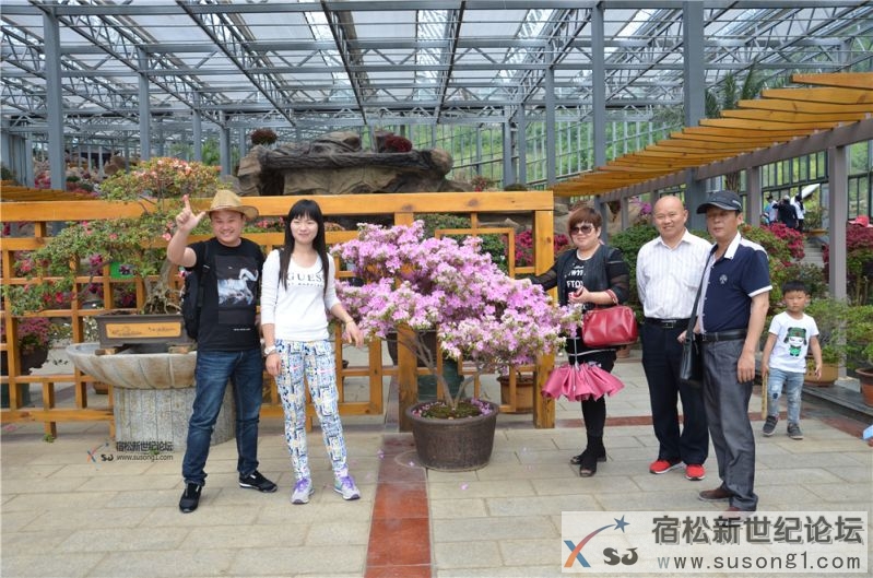宿松新世纪论坛湖北麻城之旅剪影17.jpg