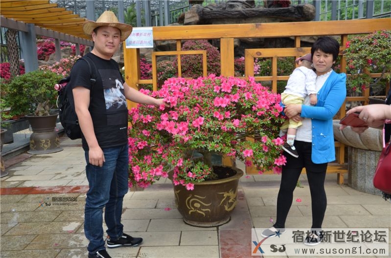 宿松新世纪论坛湖北麻城之旅剪影18.jpg