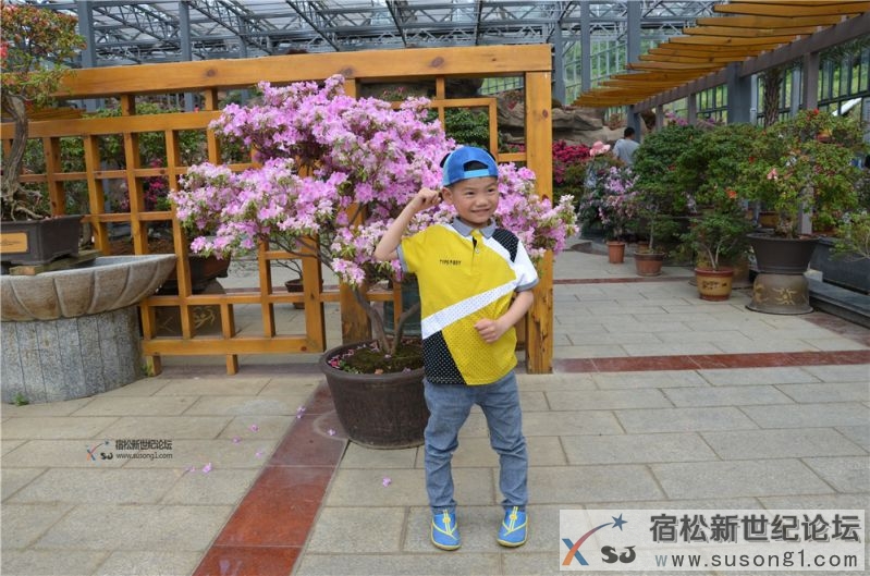 宿松新世纪论坛湖北麻城之旅剪影19.jpg