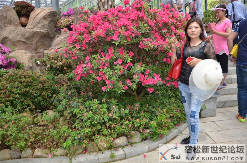 宿松新世纪论坛湖北麻城之旅剪影21.jpg