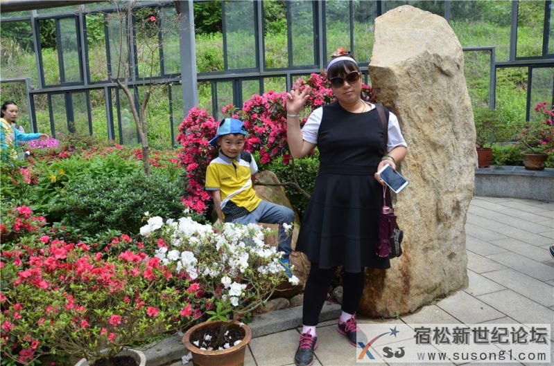 宿松新世纪论坛湖北麻城之旅剪影25.jpg