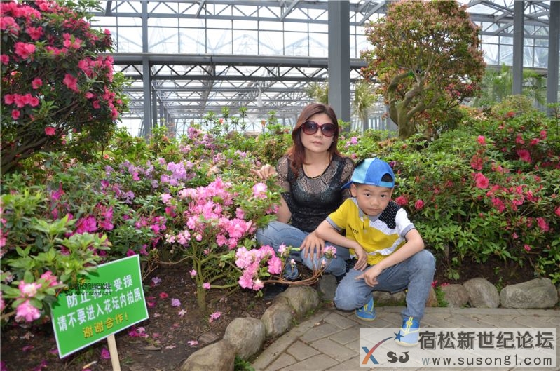 宿松新世纪论坛湖北麻城之旅剪影34.jpg