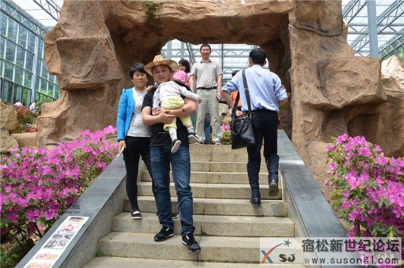 宿松新世纪论坛湖北麻城之旅剪影36.jpg