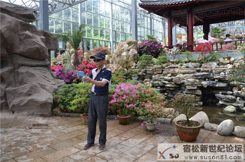 宿松新世纪论坛湖北麻城之旅剪影39.jpg