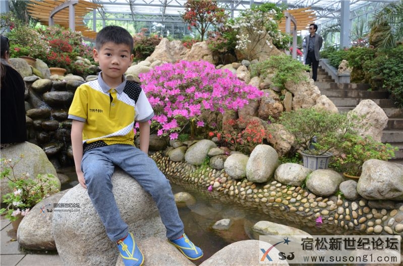 宿松新世纪论坛湖北麻城之旅剪影43.jpg