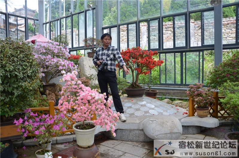 宿松新世纪论坛湖北麻城之旅剪影44.jpg