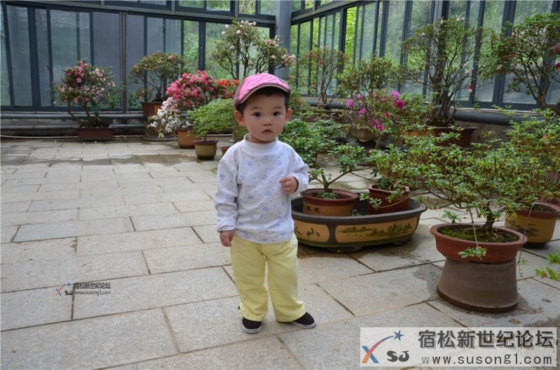 宿松新世纪论坛湖北麻城之旅剪影46.jpg