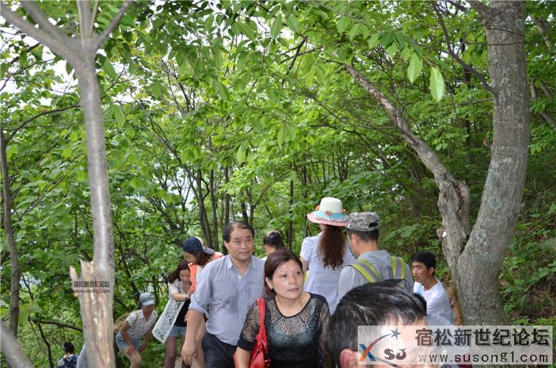 宿松新世纪论坛湖北麻城之旅剪影60.jpg