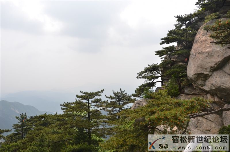 宿松新世纪论坛湖北麻城之旅剪影65.jpg