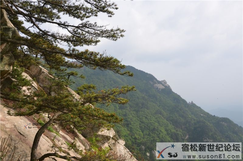 宿松新世纪论坛湖北麻城之旅剪影66.jpg