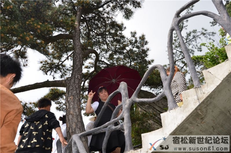 宿松新世纪论坛湖北麻城之旅剪影67.jpg