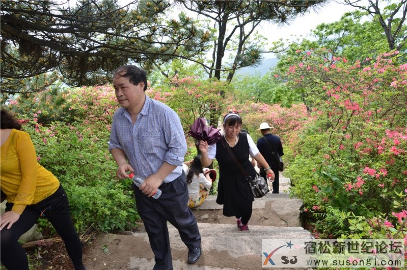 宿松新世纪论坛湖北麻城之旅剪影78.jpg