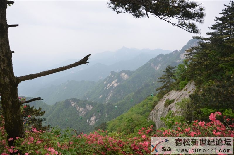 宿松新世纪论坛湖北麻城之旅剪影82.jpg