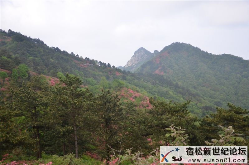 宿松新世纪论坛湖北麻城之旅剪影127.jpg