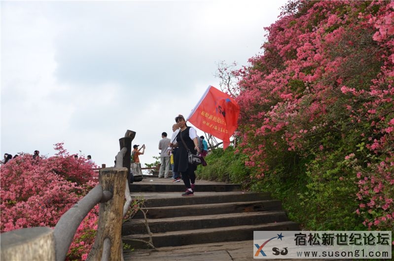 宿松新世纪论坛湖北麻城之旅剪影128.jpg