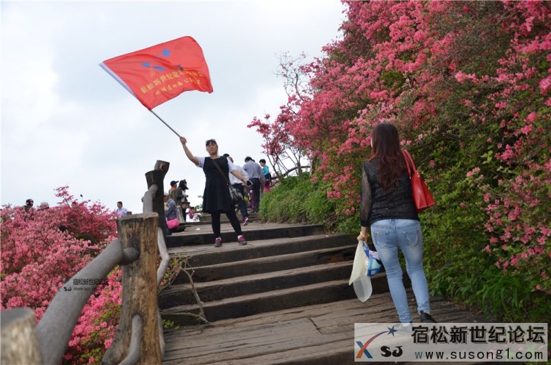 宿松新世纪论坛湖北麻城之旅剪影129.jpg