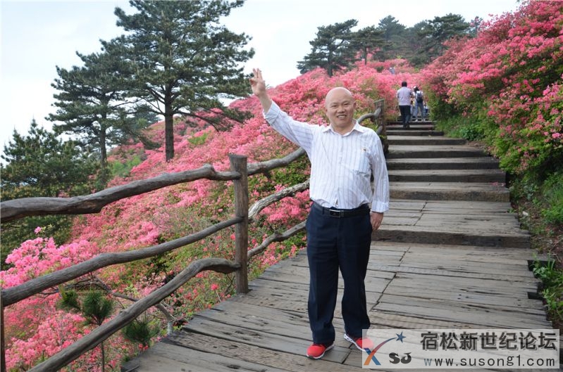 宿松新世纪论坛湖北麻城之旅剪影133.jpg