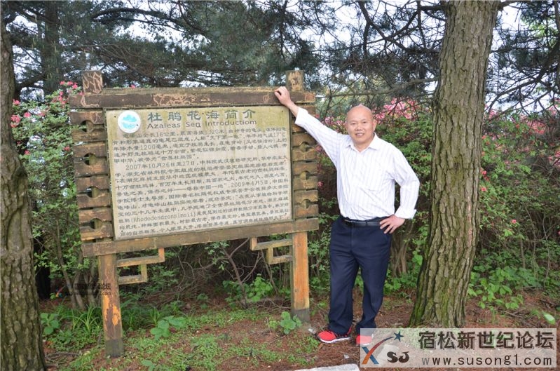 宿松新世纪论坛湖北麻城之旅剪影135.jpg