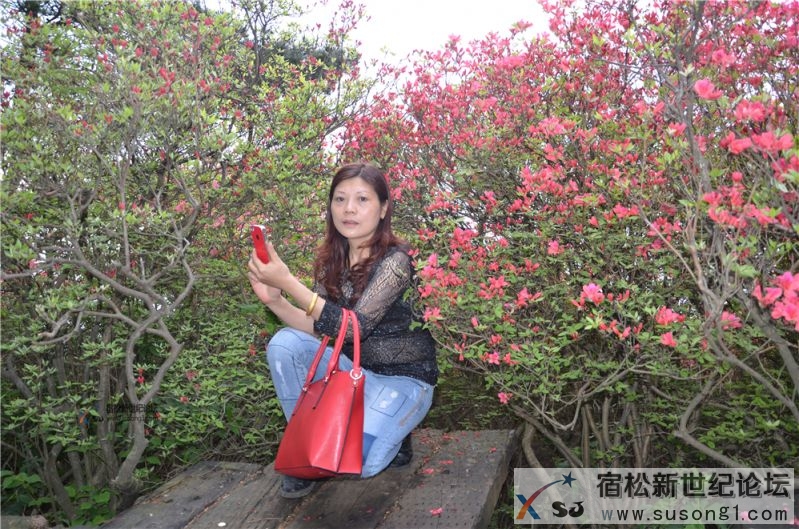 宿松新世纪论坛湖北麻城之旅剪影136.jpg