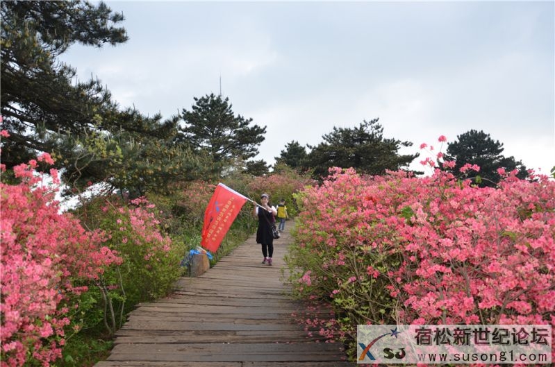 宿松新世纪论坛湖北麻城之旅剪影137.jpg