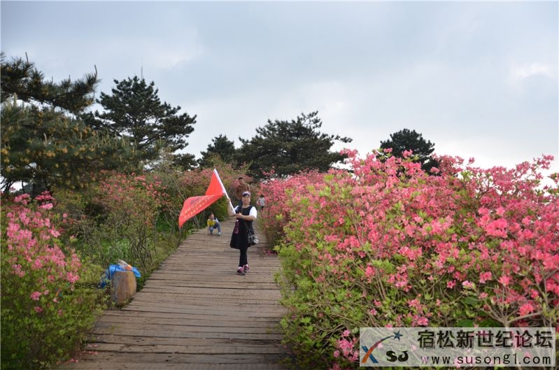 宿松新世纪论坛湖北麻城之旅剪影139.jpg