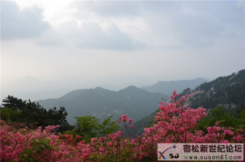 宿松新世纪论坛湖北麻城之旅剪影140.jpg