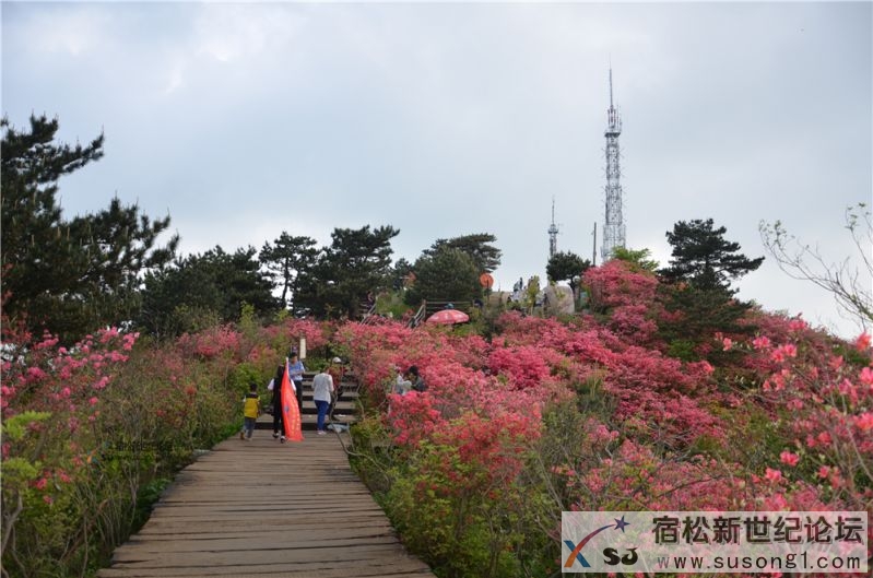 宿松新世纪论坛湖北麻城之旅剪影145.jpg