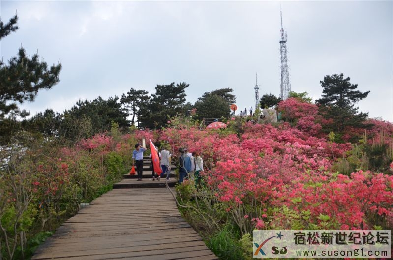 宿松新世纪论坛湖北麻城之旅剪影146.jpg