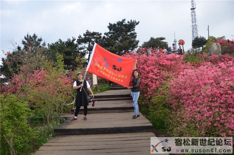 宿松新世纪论坛湖北麻城之旅剪影147.jpg