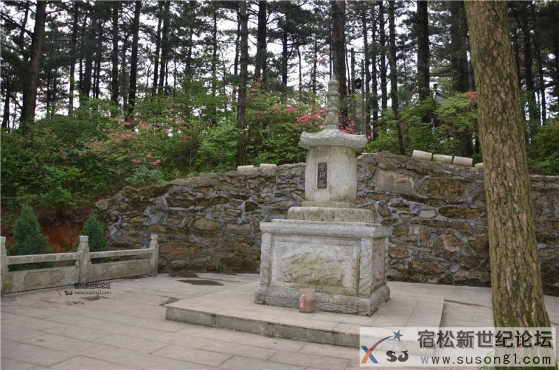 宿松新世纪论坛湖北麻城之旅剪影154.jpg