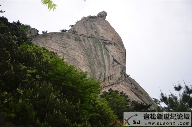 宿松新世纪论坛湖北麻城之旅剪影169.jpg