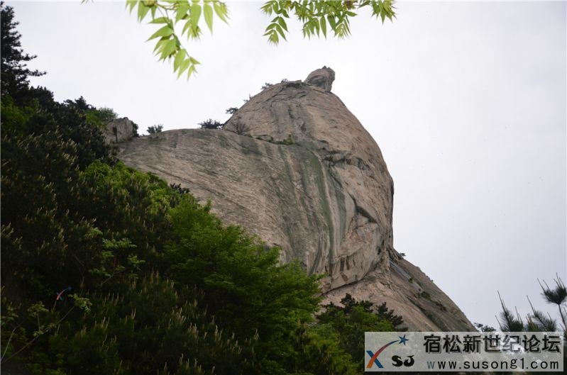 宿松新世纪论坛湖北麻城之旅剪影170.jpg