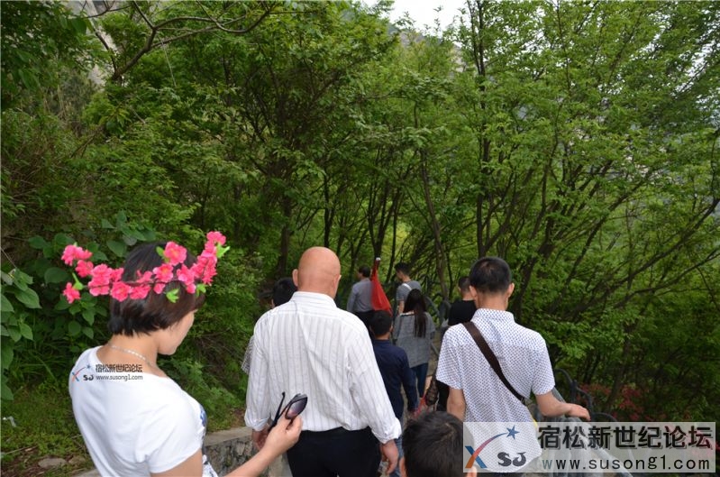 宿松新世纪论坛湖北麻城之旅剪影172.jpg