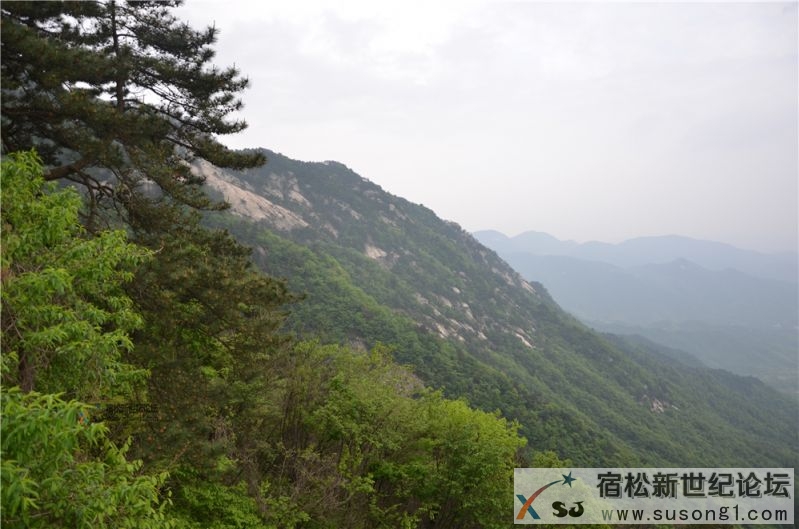 宿松新世纪论坛湖北麻城之旅剪影173.jpg