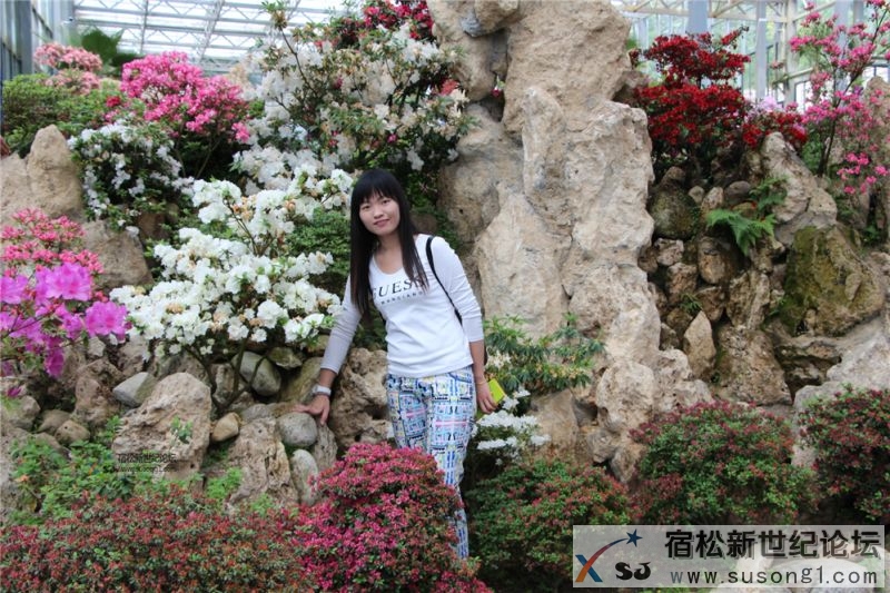 宿松新世纪论坛湖北麻城之旅剪影185.jpg