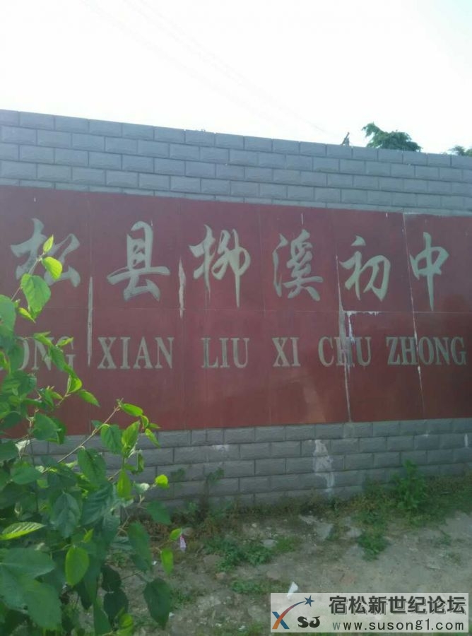 54.jpg