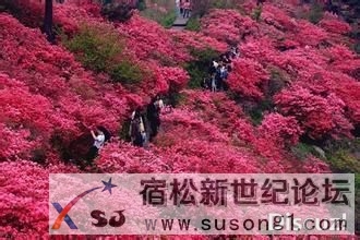 u=1993880107,1381852898&amp;fm=21&amp;gp=0.jpg