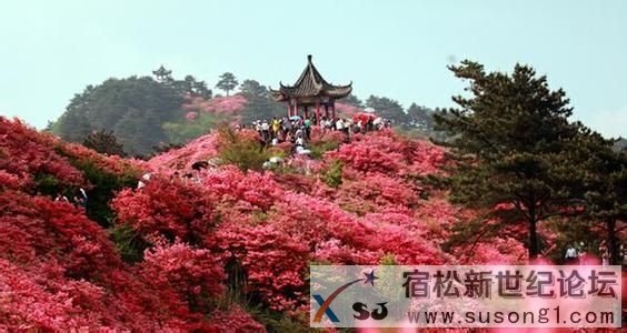 u=1617793040,3981062391&amp;fm=11&amp;gp=0.jpg