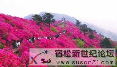 u=363070981,4077884272&amp;fm=21&amp;gp=0.jpg