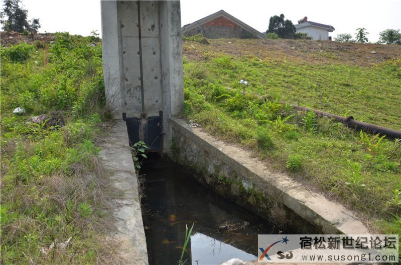 2015宿松新世纪论坛水资源保护公益活动39.jpg