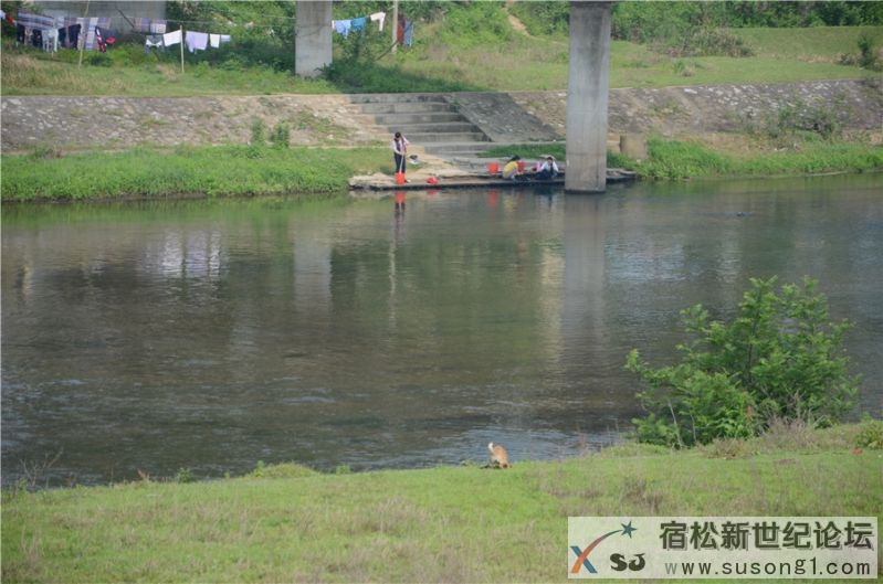2015宿松新世纪论坛水资源保护公益活动47.jpg