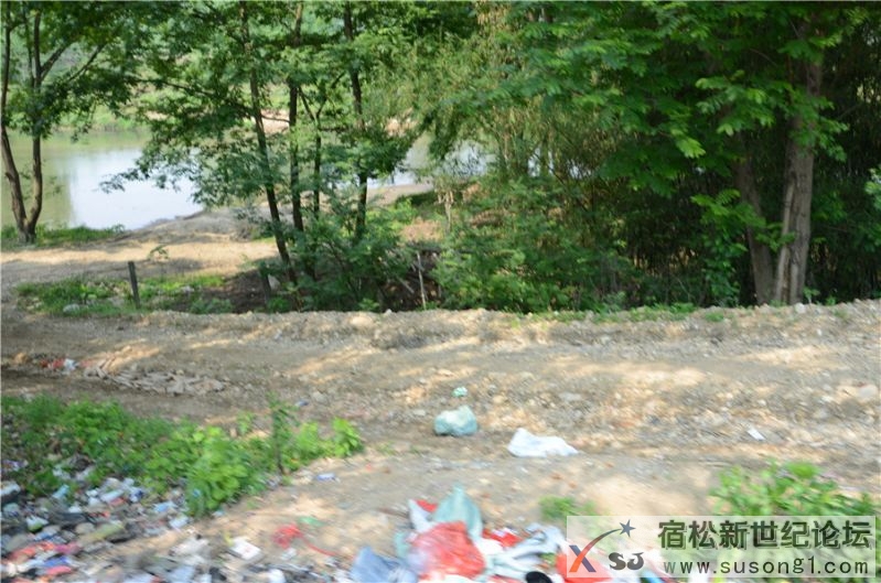 2015宿松新世纪论坛水资源保护公益活动98.jpg