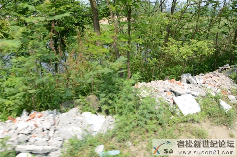 2015宿松新世纪论坛水资源保护公益活动103.jpg