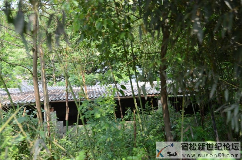 2015宿松新世纪论坛水资源保护公益活动105.jpg