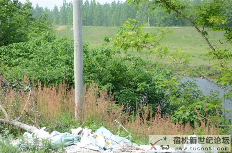 2015宿松新世纪论坛水资源保护公益活动106.jpg