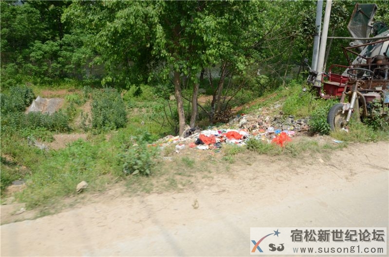 2015宿松新世纪论坛水资源保护公益活动109.jpg