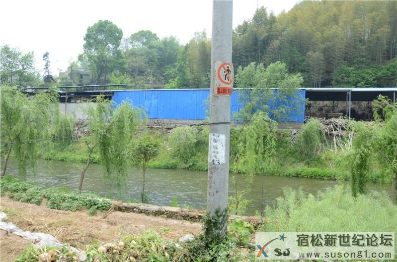 2015宿松新世纪论坛水资源保护公益活动165.jpg